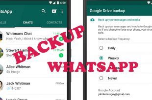 Tips Agar Riwayat Obrolan WhatsApp ke Ponsel Baru Tidak Hilang