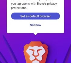 Brave Private Web Browser VPN