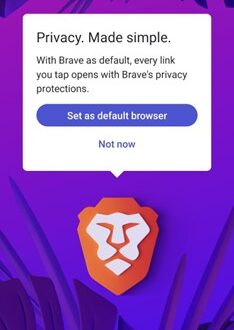 Brave Private Web Browser VPN