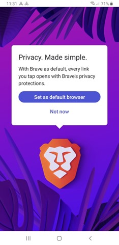 Brave Private Web Browser VPN